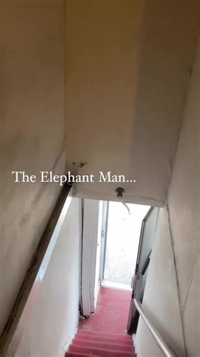 Exploring the Penny Gaff Shop: Joseph Merrick's Story