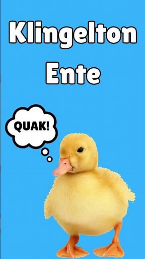 🦆 Ente quaken Sound als Klingelton kostenlos downloaden für iPhone & Android
