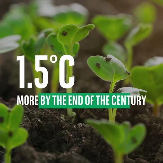 #1 Sustainable Finance hot takes: Carbon Neutrality