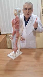 💡 Știai că doar 5% din cazurile de hernie de disc lombară necesită intervenție chirurgicală? Restul cazurilor pot fi tratate eficient cu ajutorul terapiilor specializate. 🌟 La Centrul Medical Medreflexline din Cluj-Napoca, obținem rezultate foarte bune în tratarea herniei de disc lombare fără operație. Te invităm să ne vizitezi și să descoperi soluțiile noastre pentru alinarea durerii și recuperarea mobilității! 🚶‍♂️ Pentru informații și programări: Telefon: 0770484555 Program: Luni - Vineri 