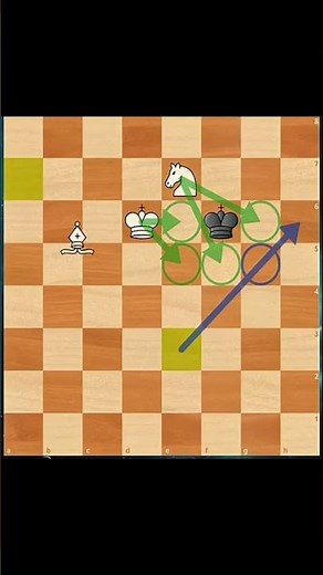 KNIGHT & BISHOP Checkmate Guide‼️✅🔥
