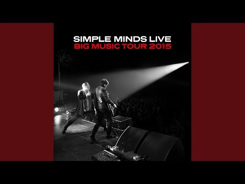 All the Things She Said - Live