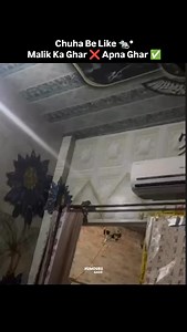 Of course ✨ In busy places like Sibuya Station, around 2.4 million steps a day contribute to the system. Energy generated can be stored or used immediately, reducing dependence on traditional sources of electricity and supporting sustainable urban infrastructure. This method turns everyday movement into a virtually renewable source of energy. #Япония #Япония हमारी शरण #знания #факты #энллыты рекомендую тено технологиии innovation innovation история техника experiment on-trend Piezoelectric tiles