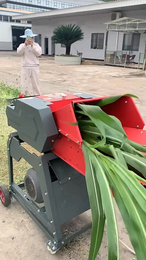 191K views · 1K reactions | No worries about power, single-phase does the job. Output 150–300kg/h.#dawnagro #machinery #ricemill #farmer | Dawn Agro Manufacturer | Facebook