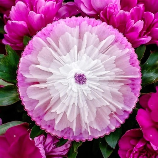 Spring peony bloom flower in epoxy resin with web effect back #crafts #trending