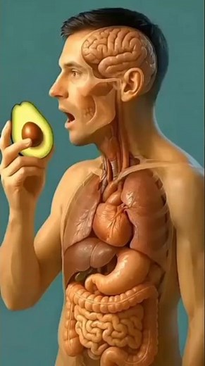 What Happens If You Eat Avocados Every Day? 7 Amazing Health Benefits! 🥑