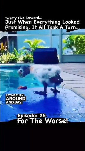 Flotation device bird meets Deebo...🦜