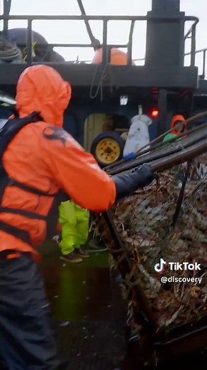 In honor of Phil, Jake decides to give the Cornelia Marie some gas and the payoff is HUGE. Watch an all-new episode of #DeadliestCatch, tonight 8P on Discovery.