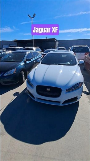 ​Is a Used Jaguar XF Worth Buying? | Live Bidding & Inspection#Jaguar #AutoAuction