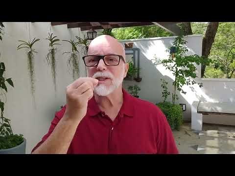 UPGRADE! Laser tree K30 30W Laser Module for your engraving machine