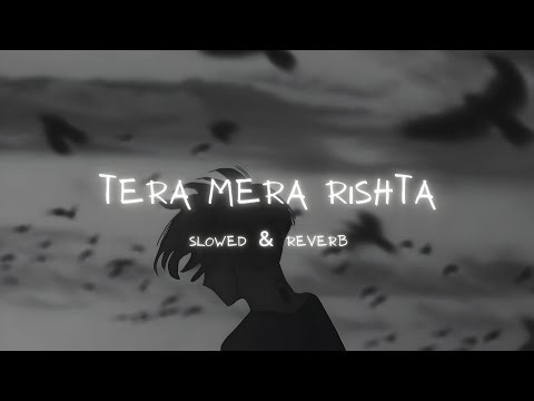 𝙏𝙚𝙧𝙖 𝙈𝙚𝙧𝙖 𝙍𝙞𝙨𝙝𝙩𝙖 𝙋𝙪𝙧𝙖𝙣𝙖 (Slowed + Reverb) - Mustafa Zahi | Feel the Pain 💔🥀 ‪@Anjalihs-Vibe‬