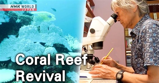 Coral Reef Revival - Science View