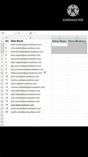 Apa itu Flash Fill di Excel?????