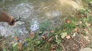 13K views · 123 reactions | Saturday at White Mills after the kid's...