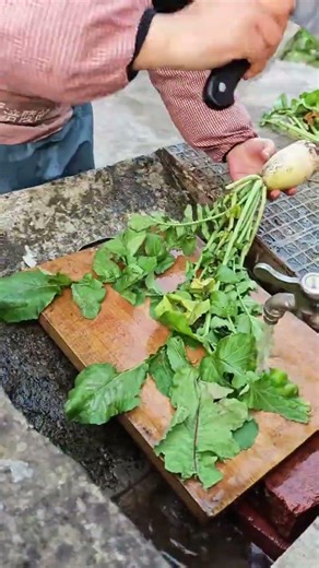 #satisfying #easyfarming #food #farming #fruit #rurallife #gardening #garden