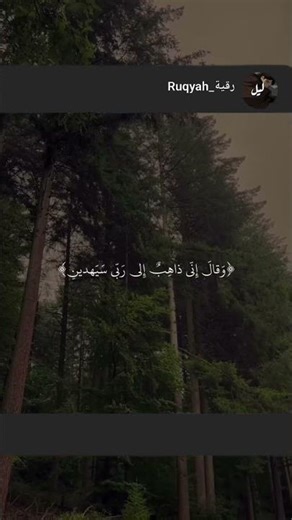 ادعولي ان يرزقني الله بوظيفة ، ادعولي ولأهلي بالفرج والرزق #قرآن #قران_كريم