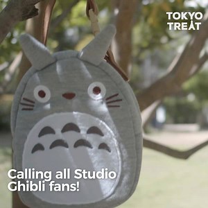Calling all Studio Ghibli fans! Don’t miss out on these FREE Totoro bonus goodies! 🎉 Sign up for a TokyoTreat Premium Prepay plan with the code TOTOROBONUS today! Hurry, limited stock available ✨ | TokyoTreat