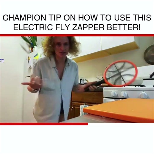 Champion tip on how to use this Electric fly zapper better!