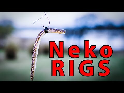 Neko Rig Fishing For Bass: Everything You Need To Know!