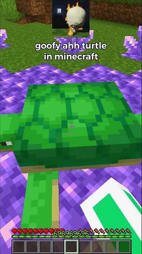 goofy ahh turtle in minecraft 🐢💀