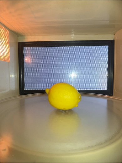 Lemon vs Microwave Experiment: Discover the Science!