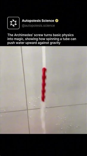 The Archimedes’ screw turns basic physics into magic, showing how gravity can be defied