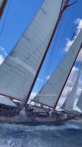 340K views · 6.7K reactions | Great 120-year-old schooner Shenandoah of Sark in Race Mode #743 | American News Daily | Facebook