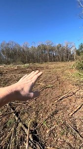 24K views · 306 reactions | Mondays, am I right #logging #tigercat #skidder #crash #bangtan #pnw #Washington #tigercat #duals #hardwork #tires #bluecollar #logging #tractortire #comedy @top fans | Jazlyn Smith | Facebook