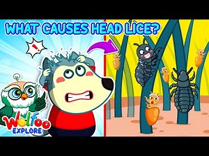 NEW | Wolfoo Explore 🔍 Why Do We Get Head Lice? Learn Healthy Habits | Wolfoo Channel | Kids Cartoon