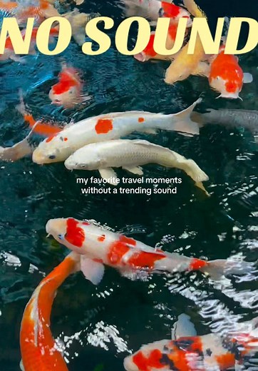 and always near a body of water 😤