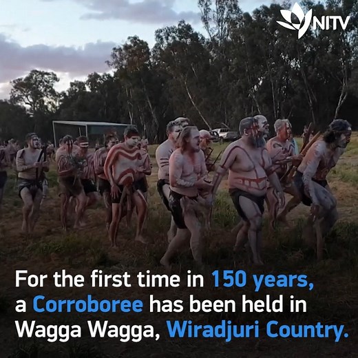 Over 1500 people turn out for Wagga Wagga Corroboree, uniting different tribes, generations and cultural practices. | NITV