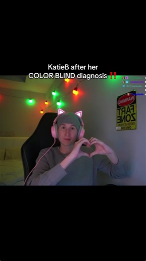 Twitch-RealKatieB #fyp #katieb #realkatieb #colorblind #justchatting | color blind