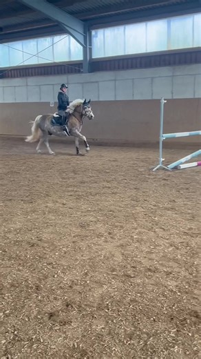 Schlimmster Sturz mit Pferd: Ein persönlicher Bericht