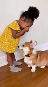 When your toddler lays down the law. No more eating the crayons, Mr. Dog! 🖍️🐕#ToddlerTalk #DogOwnerLife #CorgiMoments #CrayonCrimes | Little Humans, Big Dogs