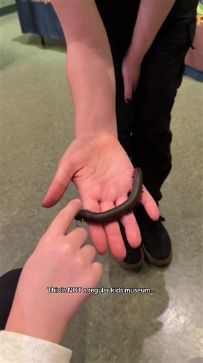 Explore the Unique Insect Museum in Toms River, NJ