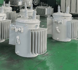 [Hot Item] Fast Supply Oil-Immersed Transformer Single-Phase Transformer for Regulate The Voltage