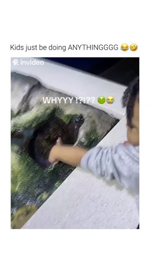 Hist Humor on Instagram: "This video captures a common biological interaction found in marine touch tanks between a human and a sea anemone. ​The Subject The organism shown is a sea anemone, a predatory marine animal related to coral and jellyfish. Despite their plant-like appearance, they are soft-bodied polyps that use specialized cells to interact with their environment. ​The Mechanism The sticky sensation occurs when the anemone’s tentacles release microscopic stinging structures called cnid