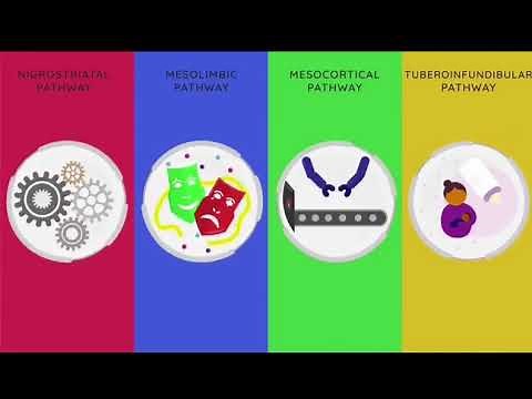 Dopamine and Related Disorders
