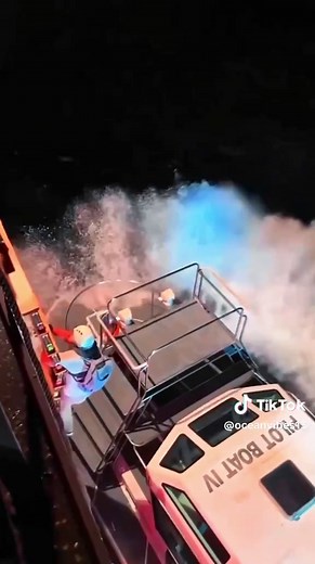 Exploring Sea Life: A Sailor's Journey Through the Ocean