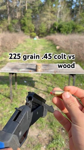 225 grain .410/.45 Colt shooting wood block #outdoors #hunting #hornady