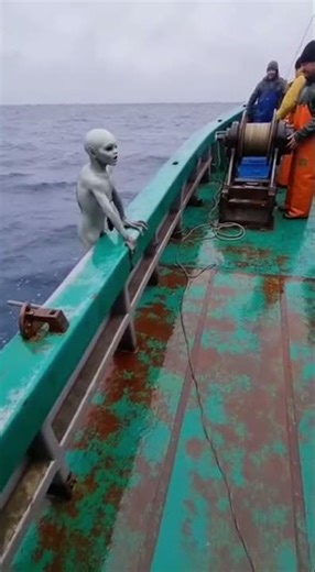 #OceanClips #DeepOcean #DangerousSea #MarineLife