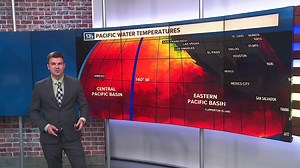 Why are landfalling hurricanes so rare in Hawaii?