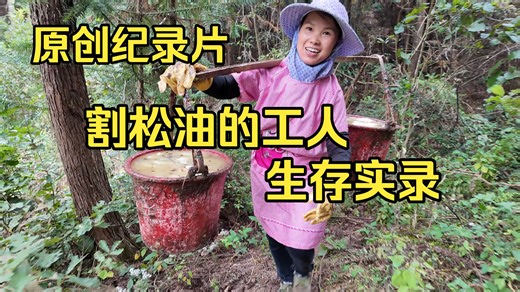 割松油的夫妻辛苦一年，挣4万元，还能存下钱