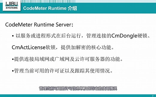 CodeMeter Runtime 介绍