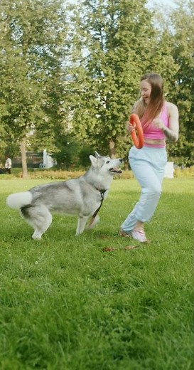 Lady is playing with the Dog - Dog videos