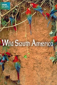 Wild South America