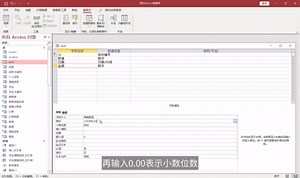 Access设置美元等货币符号或自定义格式