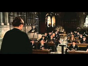 Harry Potter Transfiguration Scene