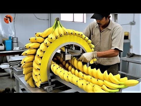 Amazing Machines Operating At An INSANE LEVEL | Most Satisfying agricultural machinery