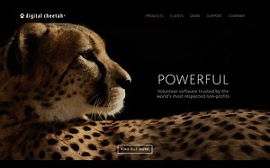Digital Cheetah VMS Demo